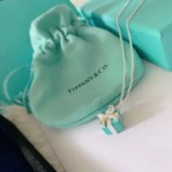 Tiffany & Co. 925 Silver Necklace